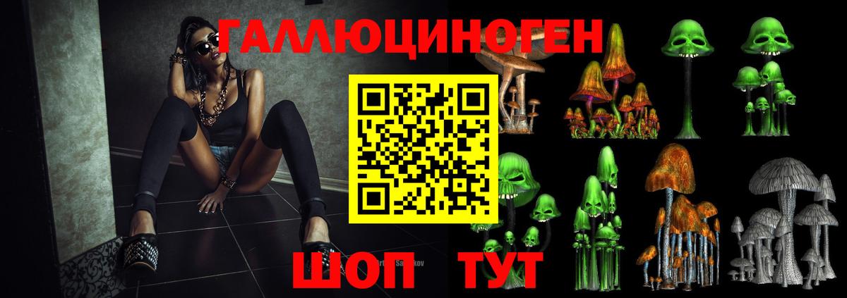 Галлюциногенные грибы мицелий Гусь-Хрустальный