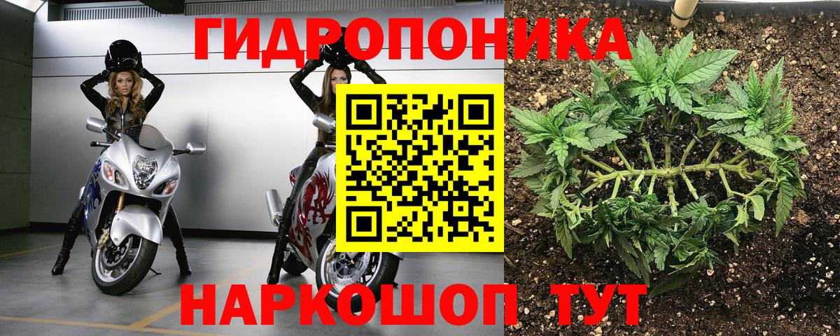 Каннабис конопля  Шишки марихуана OG Kush  Вход с VPN  Бошки марихуана White Widow  Шишки марихуана VHQ  Гусь-Хрустальный 